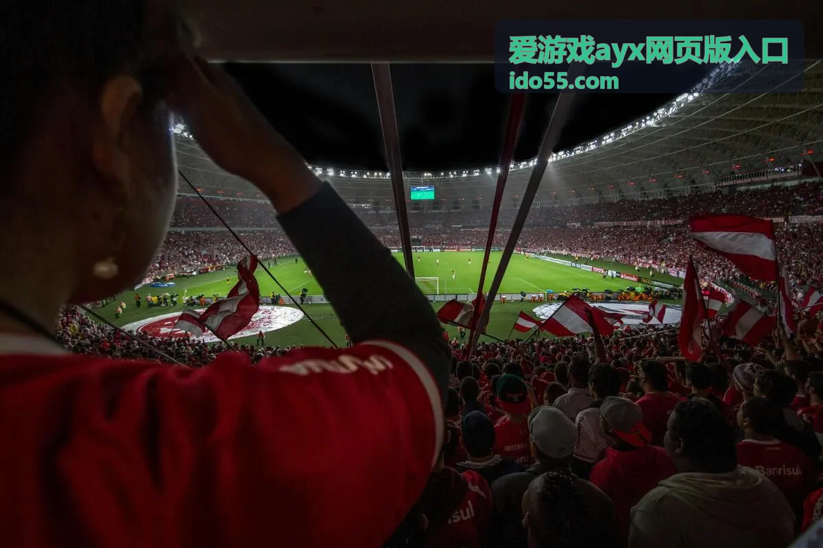 页面打不开时的常见原因说明缩略图