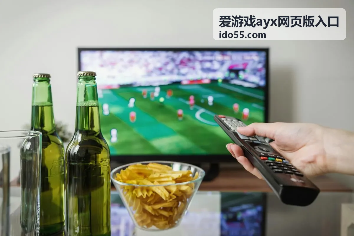 网页版各功能分区的作用与查看顺序配图
